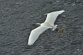 05 03 15_2349_edited-1